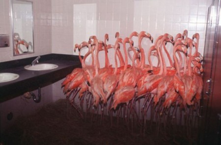 Bathroom Flamingos