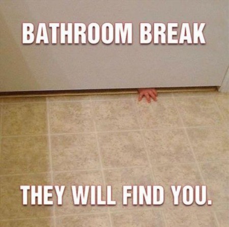 Bathroom break, they will find you