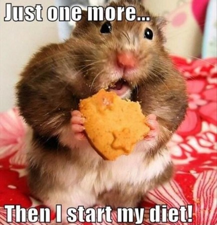 Cookie Lover Mouse